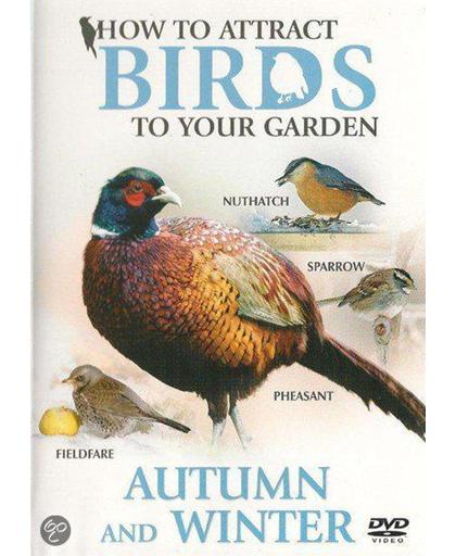 How To Attract Birds - Autumn And W - How To Attract Birds - Autumn And W