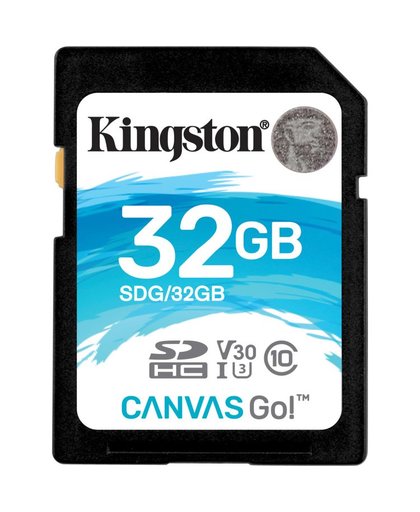 Kingston Technology Canvas Go! flashgeheugen 32 GB SDHC Klasse 10 UHS-I