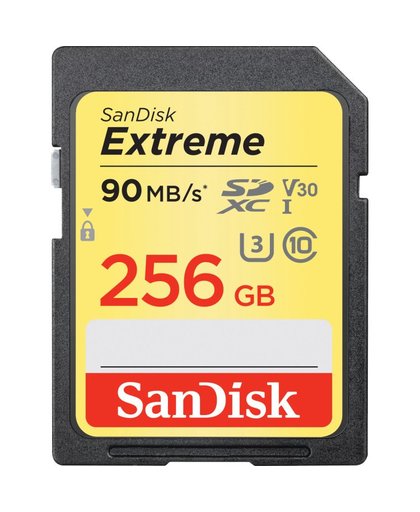 Extreme SDXC UHS-I 256 GB