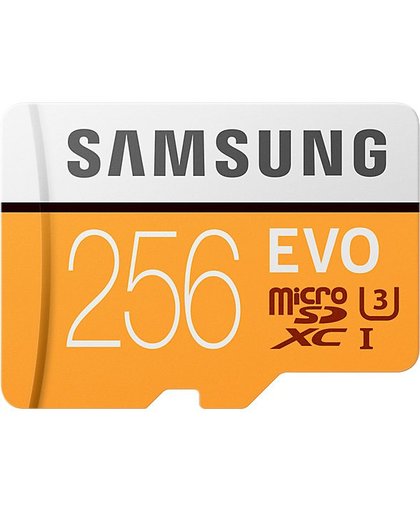 EVO microSDXC 256GB