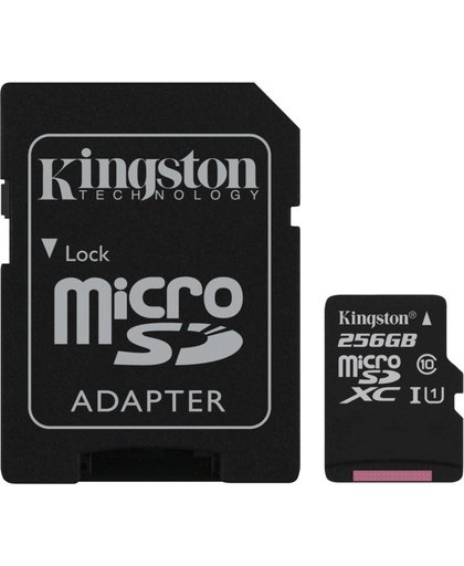 Kingston Technology Canvas Select flashgeheugen 256 GB MicroSDXC Klasse 10 UHS-I