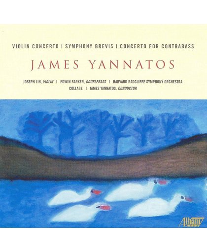 Violin Concerto/  Symphony Brevis