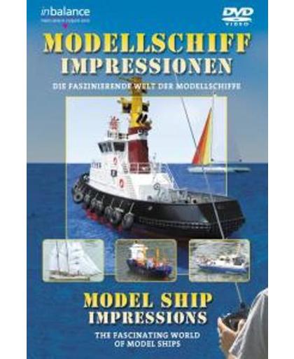 Fascinating World Of Model Ship