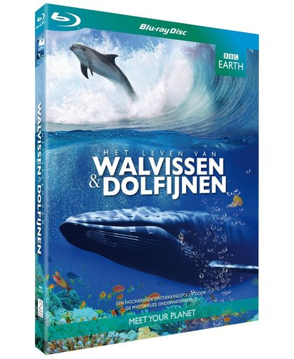 BBC Earth - Het Leven Van Walvissen En Dolfijnen (Blu-ray)