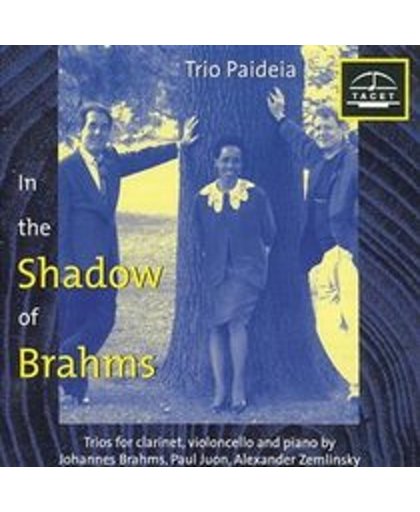 Im Schatten Von Brahms Vol. 1