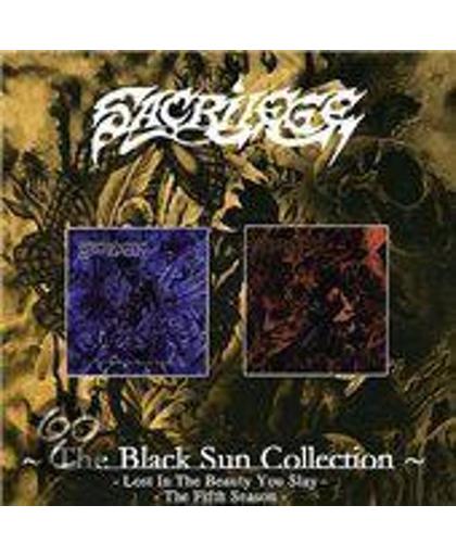 The Black Sun Collection: Lost in the Beauty You Slay/The Fifth Seaso