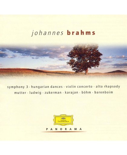 Panorama: Johannes Brahms
