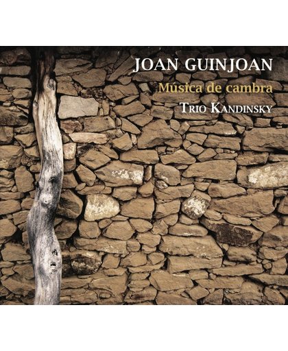 Joan Guinjoan: Musica de Cambra