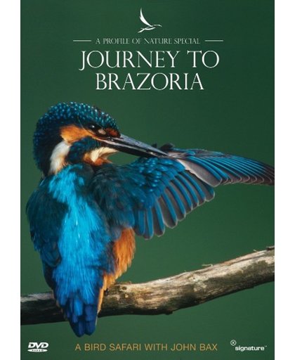 Journey To Brazoria - Profiles Of N - Journey To Brazoria - Profiles Of N