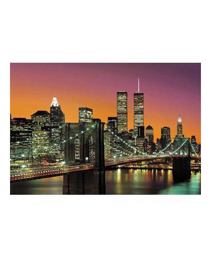 - new york city - 366 x 254 cm - multi