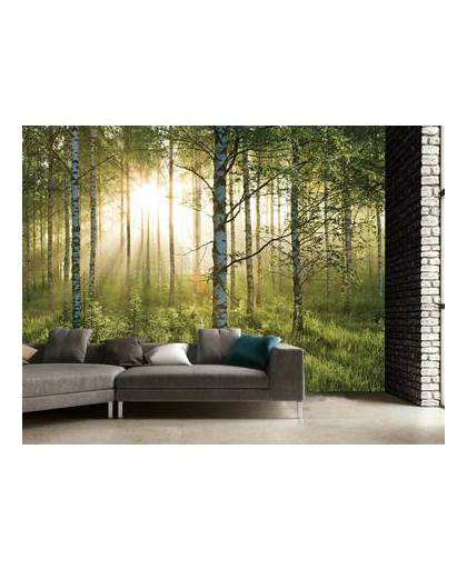 - forest - 232 x 315 cm hxb - groen
