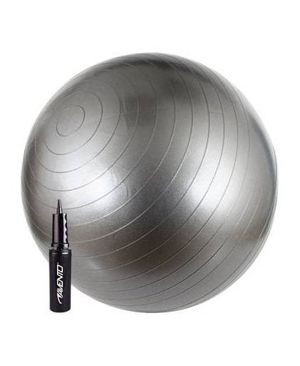 Avento Fitnessbal 65 cm zilvergrijs/zwart/wit