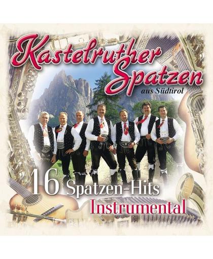 16 Spatzen Hits-Instrument