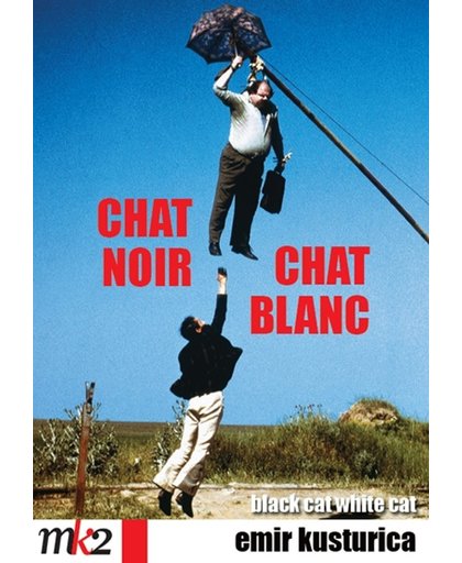 Chat Noir Chat Blanc