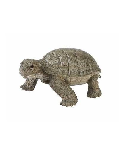 Levensechte schildpad 14 cm