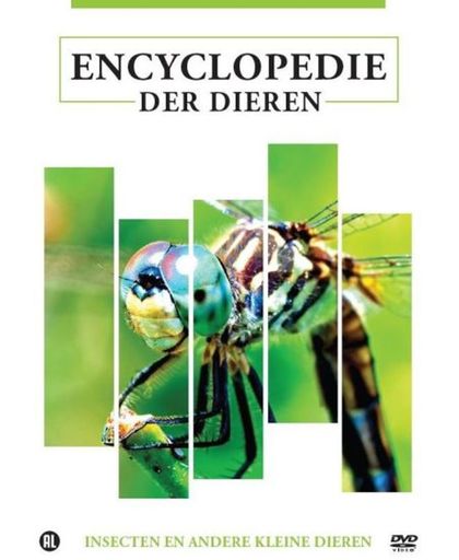 Encyclopedie Der Dieren - Insecten En Andere Kleine Dieren