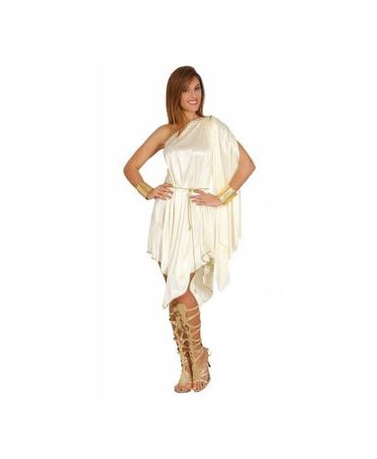 Griekse godin kostuum jurk - large / 42-44