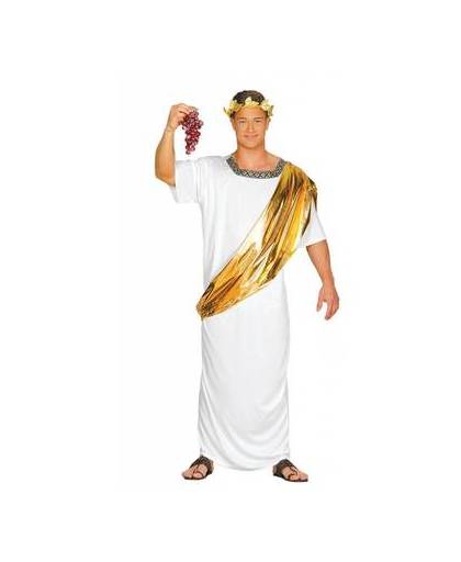 Caesar kostuum romeins - large / 52-54