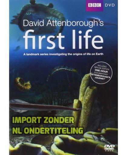 David Attenborough's First Life [DVD]