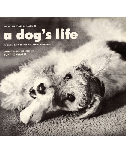An Actual Story in Sound of a Dog's Life