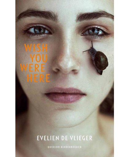 Wish you were here - Evelien de Vlieger