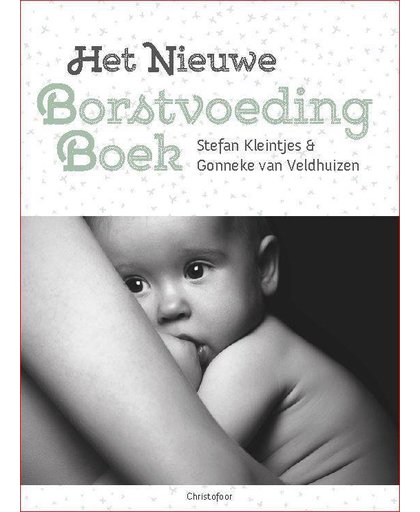 Het nieuwe borstvoedingboek - Stefan Kleintjes en Gonneke Veldhuizen-Staas