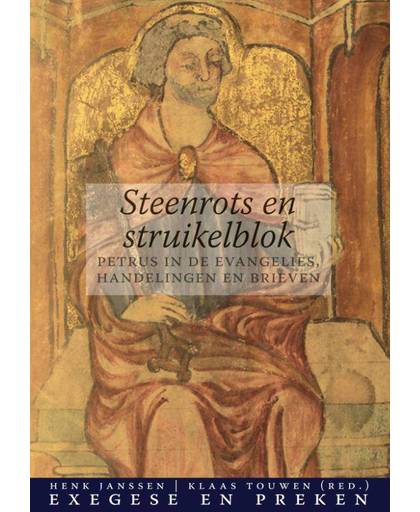 Steenrots en struikelblok - Henk Janssen en Klaas Touwen