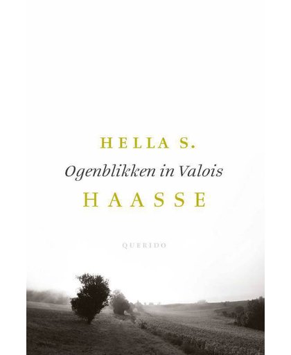 Ogenblikken in Valois - Hella S. Haasse