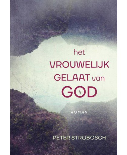 Het vrouwelijk gelaat van God - Peter Strobosch