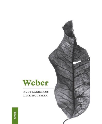 Profielen Weber - Rudi Laermans en Dick Houtman