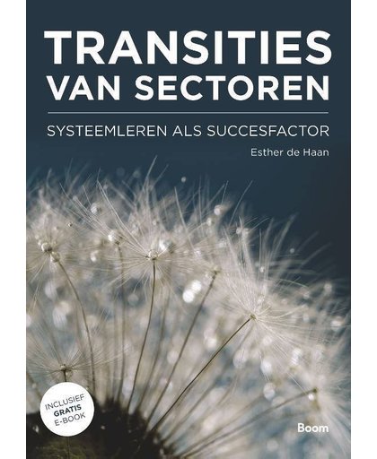 Transities van sectoren - Systeemleren als succesfactor - Esther de Haan