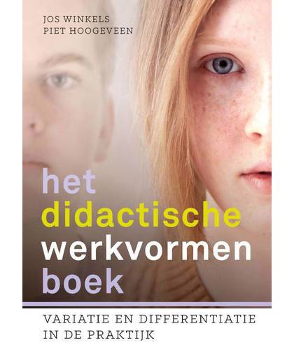 Het didactische werkvormenboek - Piet Hoogeveen en Jos Winkels