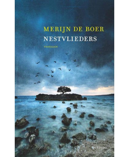 Nestvlieders (POD) - Merijn de Boer