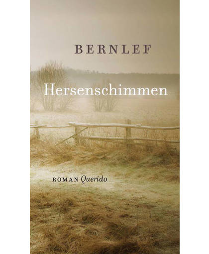 Hersenschimmen - Bernlef