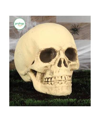Halloween schedel 40cm