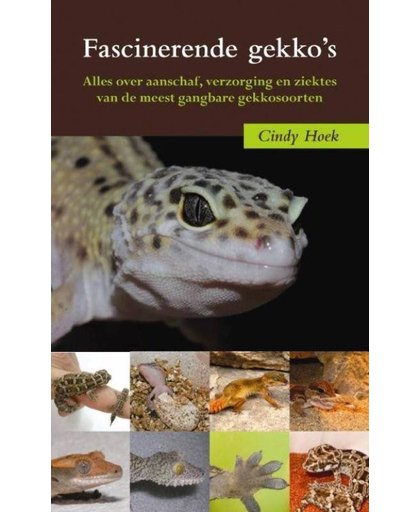 Fascinerende gekko's - C. Hoek