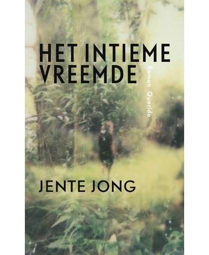 Het intieme vreemde - Jente Jong