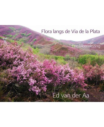 Flora langs de Via de la Plata - Ed van der Aa