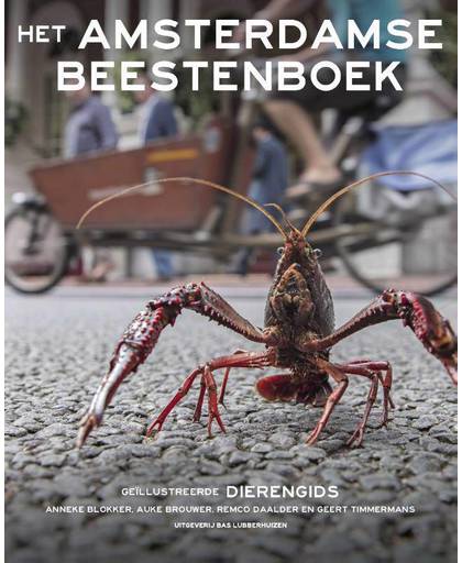 Het amsterdamse beestenboek - Anneke Blokker, Auke Brouwer, Remco Daalder, e.a.