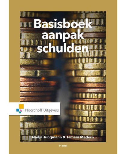 Basisboek Aanpak Schulden - Nadja Jungmann en Tamara Madern