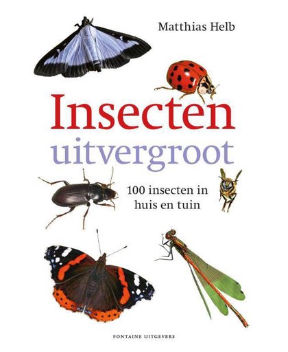 Insecten uitvergroot - Matthias Helb