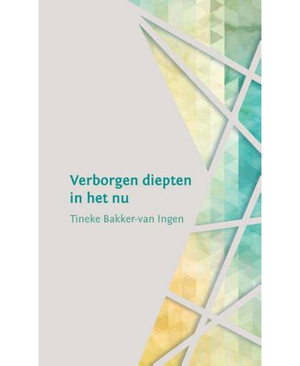 Verborgen diepten in het nu - Tineke Bakker-van Ingen
