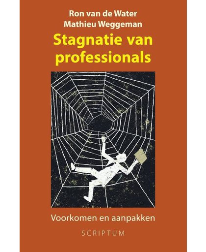 Stagnatie van professionals - Ron van de Water en Matthieu Weggeman