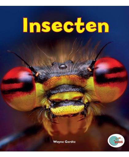 Insecten, In de ROOS - Wayne Gerdtz