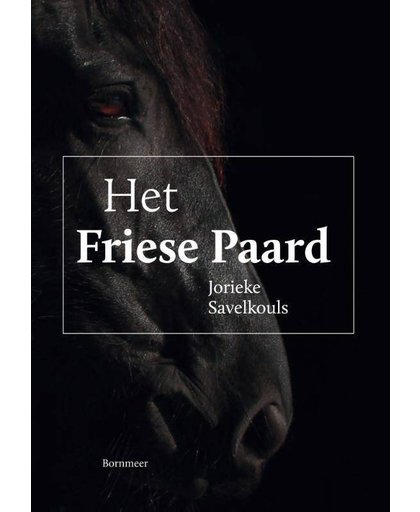 Het Friese paard - Jorieke Savelkouls