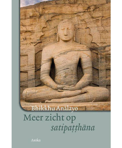 Meer zicht op satipatthana - Bhikkhu Analayo