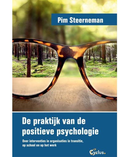 De praktijk van de positieve psychologie - Pim Steerneman