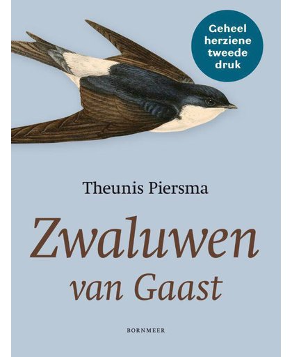 Zwaluwen van Gaast - Theunis Piersma