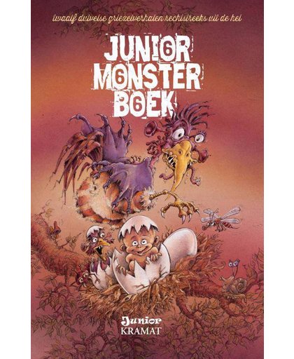 Het Junior Monsterboek 666 - Nico De Braeckeleer, Marie Uiterwijk, Rob Baetens, e.a.