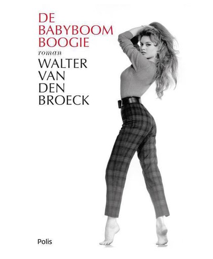 De babyboomboogie - Walter van Broeck